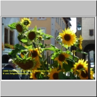 16682 Rothenburg ob der Tauber Oberfranken 2010.JPG